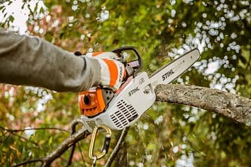 Testbericht Motorsäge STIHL MS 194 T