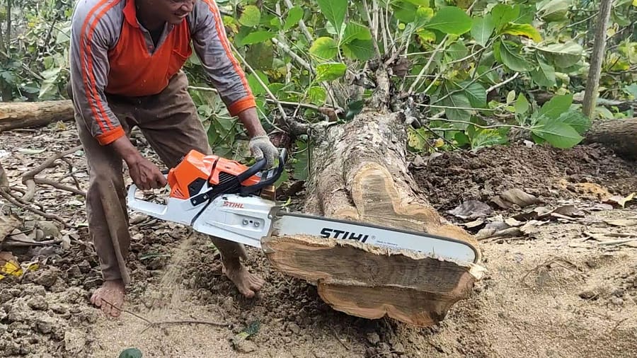 STIHL MS 881